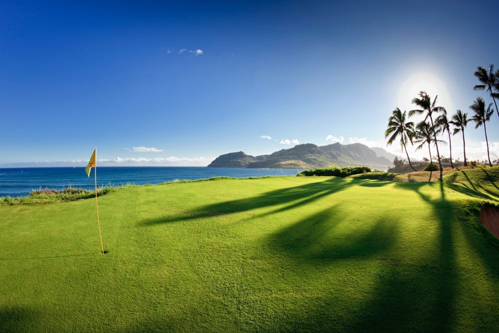 Golf flag in a golf course Kauai Lagoons Kauai Hawaii USA Canvas Art - Panoramic Images (27 x 9)