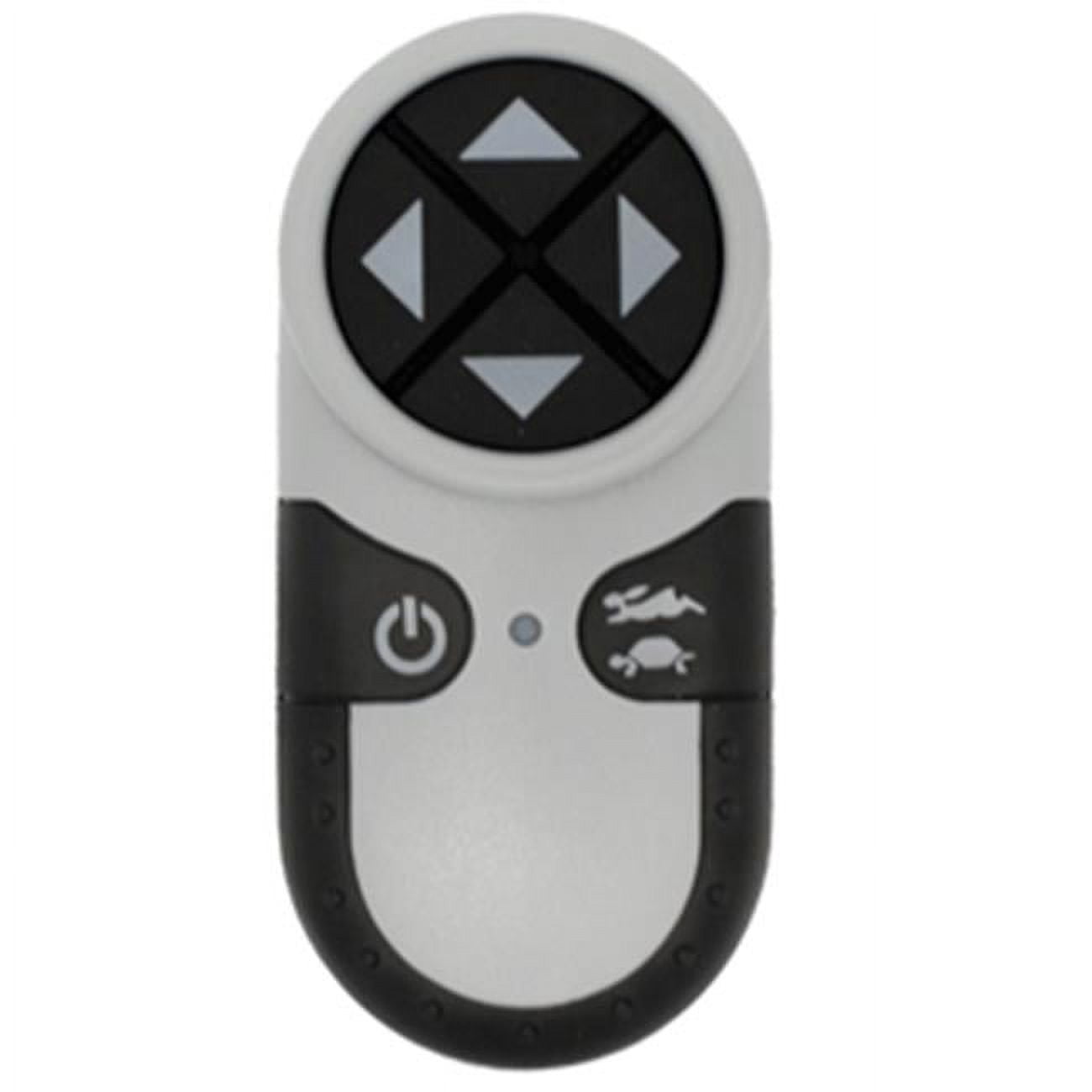 Compact Black and White Wireless Handheld Remote