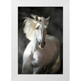 thumbnail image 1 of Golubenko, S. 17x24 White Modern Wood Framed Museum Art Print Titled - White Andalusian, 1 of 4