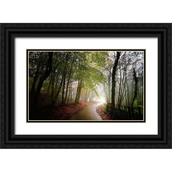 Goncalves, Adelino 18x12 Black Ornate Wood Framed with Double Matting Museum Art Print Titled - The Fence