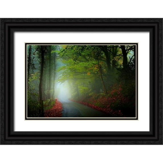 Goncalves, Adelino 18x13 Black Ornate Wood Framed with Double Matting Museum Art Print Titled - The Lane