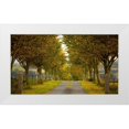 thumbnail image 1 of Goncalves, Adelino 24x15 White Modern Wood Framed Museum Art Print Titled - Colors of Autumn, 1 of 4