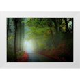 thumbnail image 1 of Goncalves, Adelino 32x23 White Modern Wood Framed Museum Art Print Titled - The Lane, 1 of 4