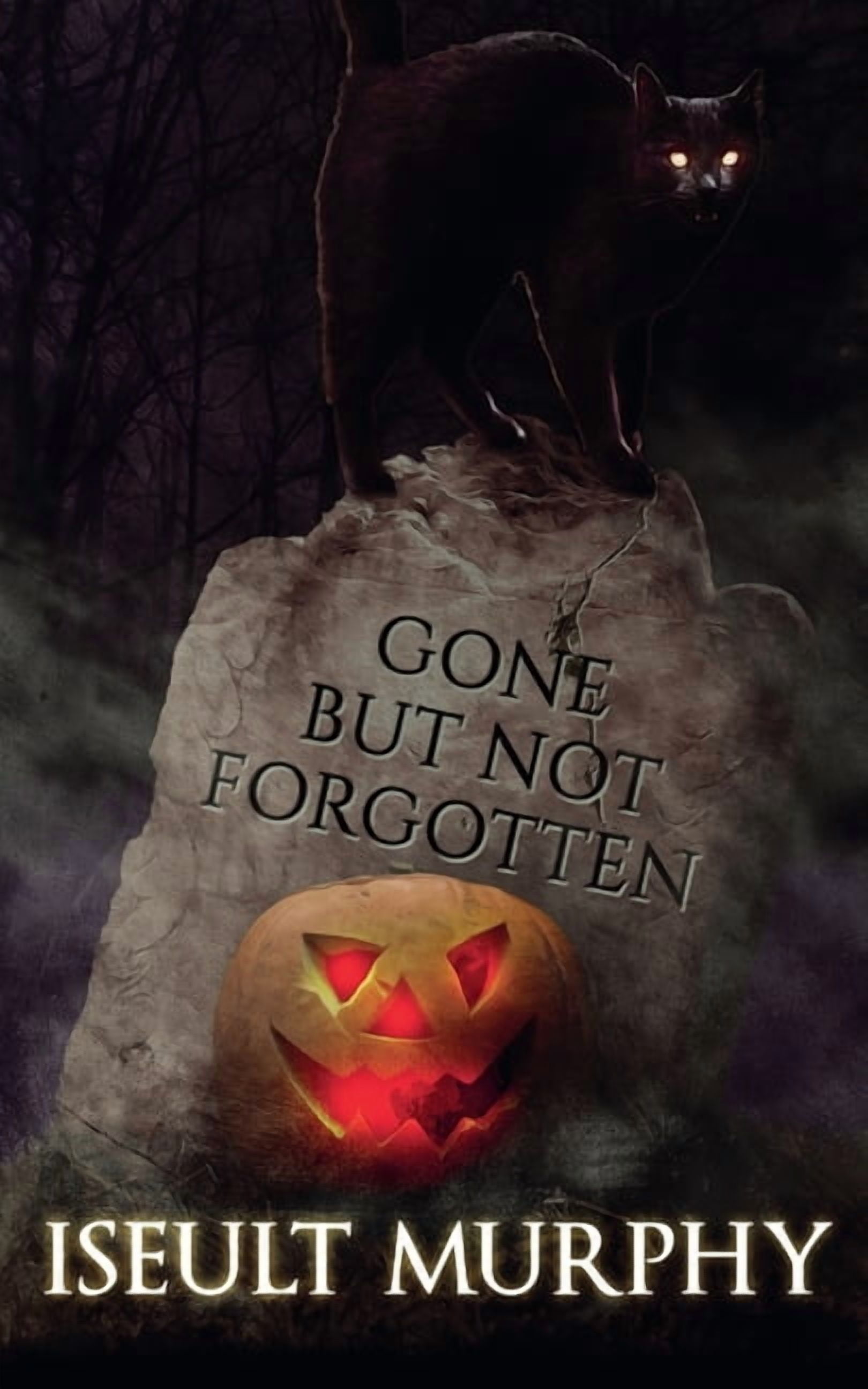 Gone But Not Forgotten, (Paperback)