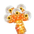 Gongjisey Balloon Led Luminous BalloonRose Bouquet Diy Innovative