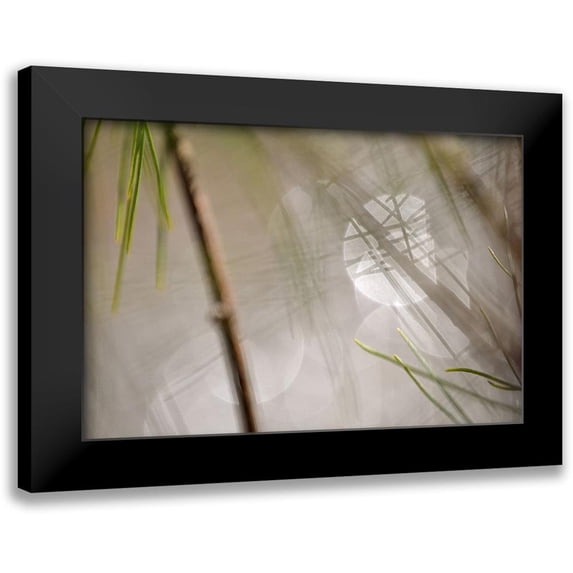 Gonzalez, Ulpi 14x11 Black Modern Framed Museum Art Print Titled - Abstract by the River