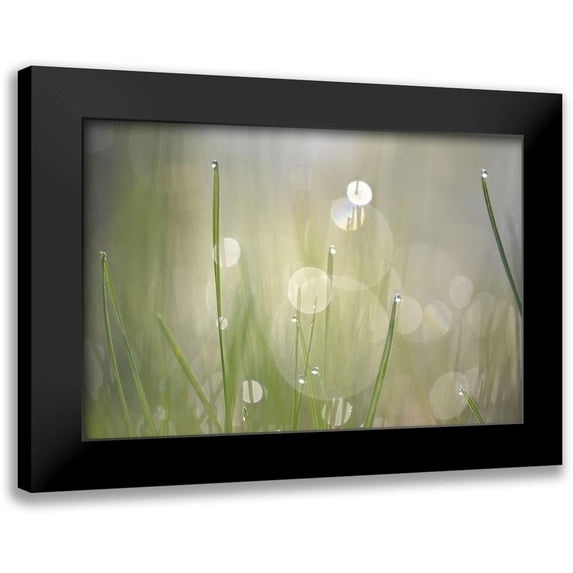 Gonzalez, Ulpi 18x13 Black Modern Framed Museum Art Print Titled - Morning Light No. 3