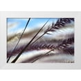 thumbnail image 1 of Gonzalez, Ulpi 18x13 White Modern Wood Framed Museum Art Print Titled - Grasses No. 8, 1 of 4