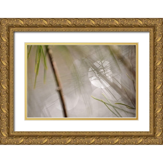 Gonzalez, Ulpi 24x17 Gold Ornate Wood Framed with Double Matting Museum Art Print Titled - Abstract by the River