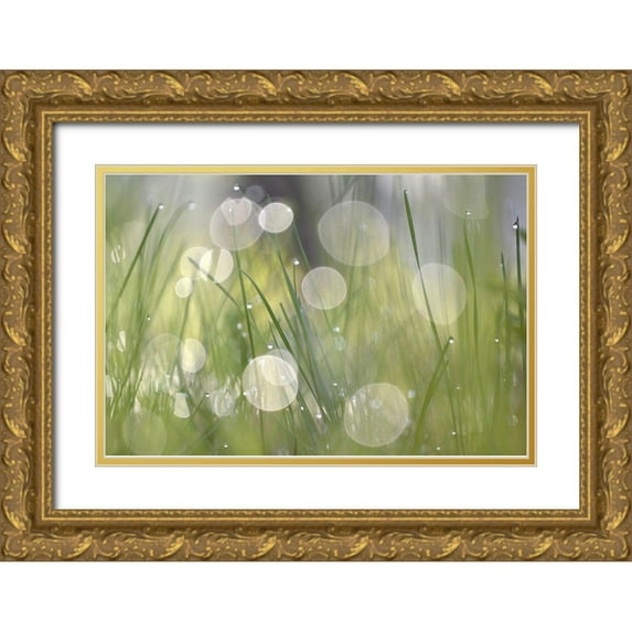Gonzalez, Ulpi 24x17 Gold Ornate Wood Framed with Double Matting Museum Art Print Titled - Morning Light No. 4
