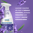 thumbnail image 1 of Gonzo Natural Magic Disinfectant Spray & Multipurpose Cleaner - Lavender - 24 Ounce (2 Pack), 1 of 4