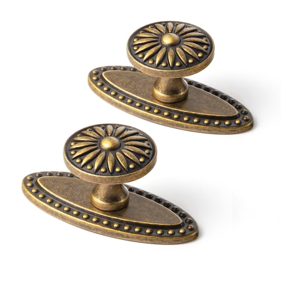 Goo-Ki Antique Brass Cabinet Drawer Knobs with Backplate, Vintage Floral Medallion Design, Cabinet Handles for Dresser,Wardrobe 2 Pack
