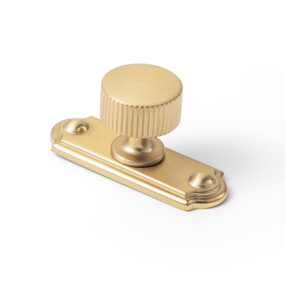 Goo-Ki Champagne Bronze Cabinet Drawer Knobs with Backplate, Zinc Alloy Cabinet Handles for Dresser,Wardrobe,Cupboard, 2 Pack (C)