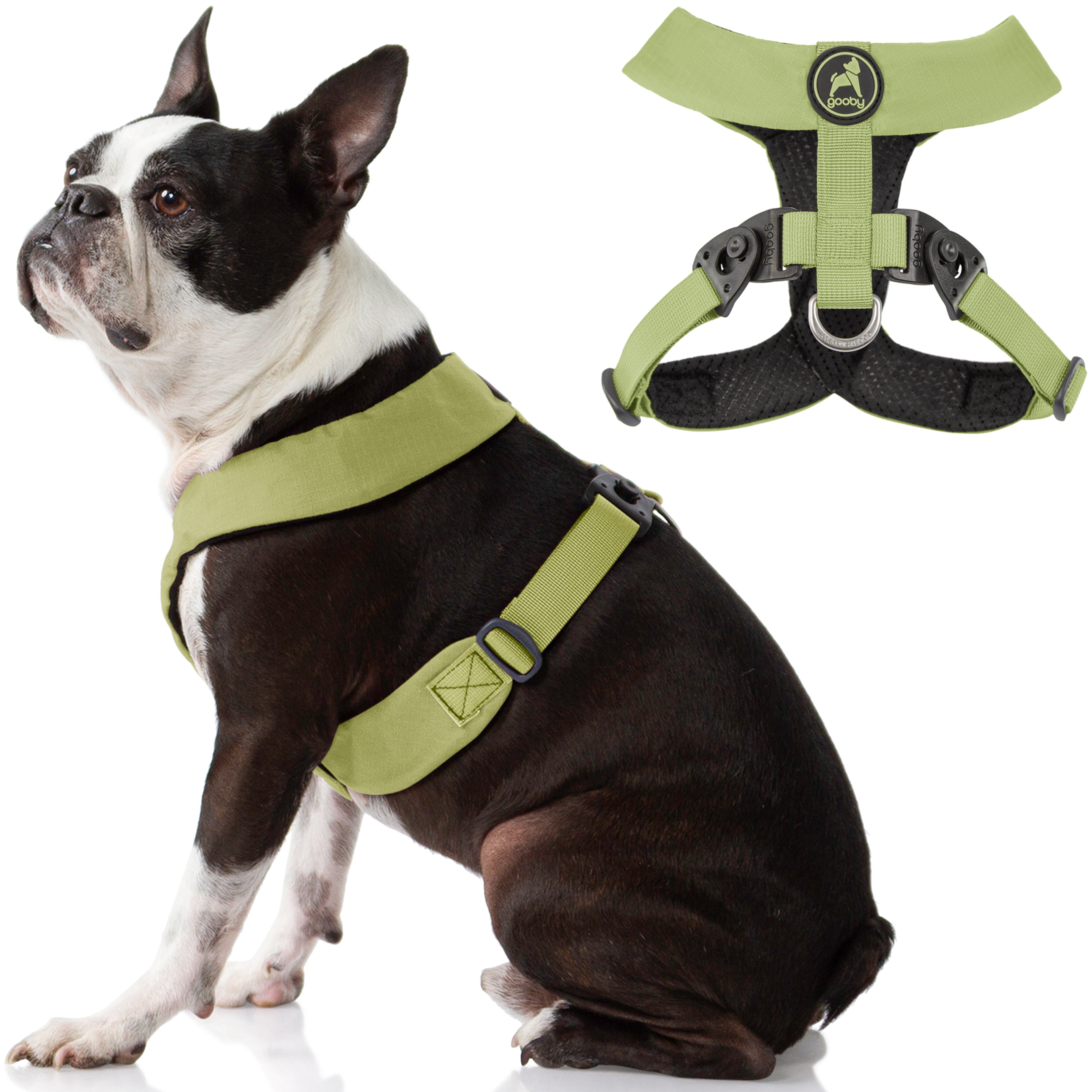 Dog hot sale collars kmart