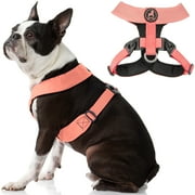 Gooby Comfort X Harness Dual Snap - Pink, Medium - Comfort X Harness Dual Snap Rotational Buckles with Patented Choke-Free X Frame - Harness for Small Dogs and Medium Dogs for Outdoor Use