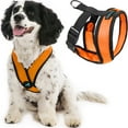 thumbnail image 1 of Gooby Comfort X Head-In Harness - Orange, Large - Breathable, Lightweight, Wrinkle Free Mesh Harness with Patented Choke-Free X Frame for Small Dog and Medium Dog Indoor and Outdoor use, 1 of 5