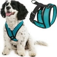 thumbnail image 1 of Gooby Comfort X Head-In Harness - Turquoise, Medium - Breathable, Lightweight, Wrinkle Free Mesh Harness with Patented Choke-Free X Frame for Small Dog and Medium Dog Indoor and Outdoor use, 1 of 5
