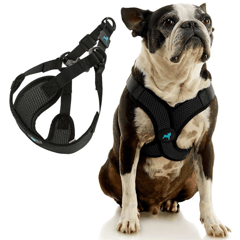 Full body harness for small dogs 2025