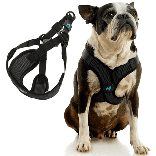 Gooby top pioneer harness