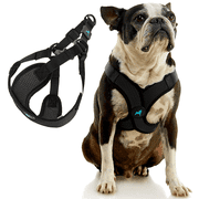 Gooby Comfort X Step In Lite Harness - Black, Medium - Escape Free Dog Harness with Easy-Snap Buckles and Flexible Body Frame for Small Dog and Medium Dog