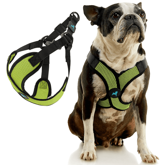 Gooby Comfort X Step In Lite Harness - Green, Small - Escape Free Dog Harness with Easy-Snap Buckles and Flexible Body Frame for Small Dog and Medium Dog