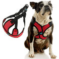 thumbnail image 1 of Gooby Comfort X Step In Lite Harness - Red, Small - Escape Free Dog Harness with Easy-Snap Buckles and Flexible Body Frame for Small Dog and Medium Dog, 1 of 4