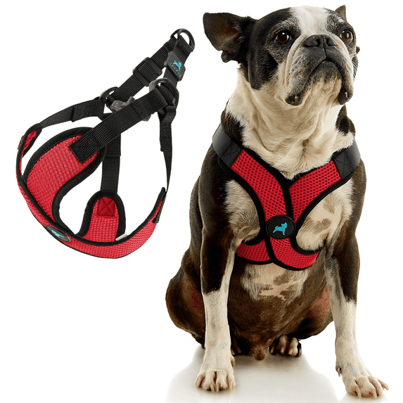 Gooby Comfort X Step In Lite Harness - Red, Small - Escape Free Dog Harness with Easy-Snap Buckles and Flexible Body Frame for Small Dog and Medium Dog
