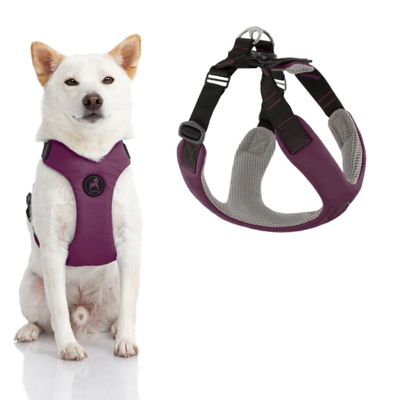 Gooby Convertible Z Harness - Purple, X-Large - Flexible and Shock Absorbing Convertible Harness with Quick Release Buckle and Fastener Neck Closure