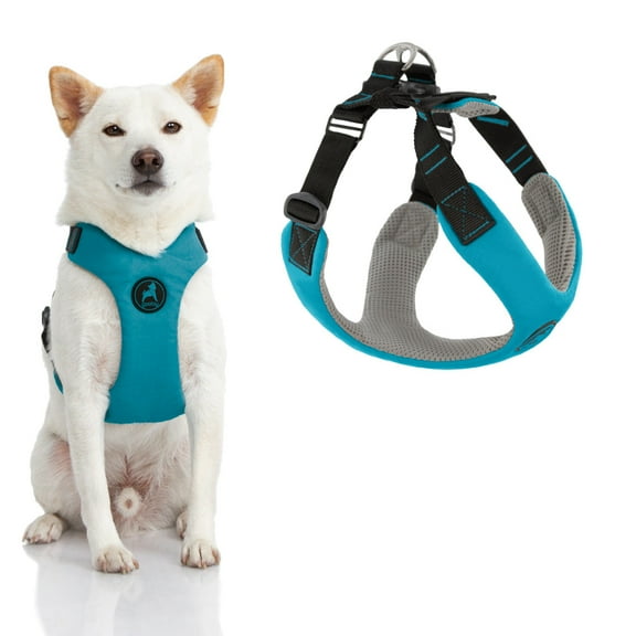 Gooby Convertible Z Harness - Turquoise, X-Large - Flexible and Shock Absorbing Convertible Harness with Quick Release Buckle and Fastener Neck Closure