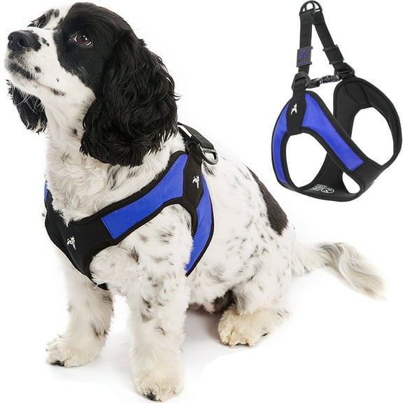 Gooby Escape Free Easy Fit Harness - Blue, Medium - Escape Free Step-In Harness with Neoprene Body for Small Dogs and Medium Dogs Indoor and Outdoor use