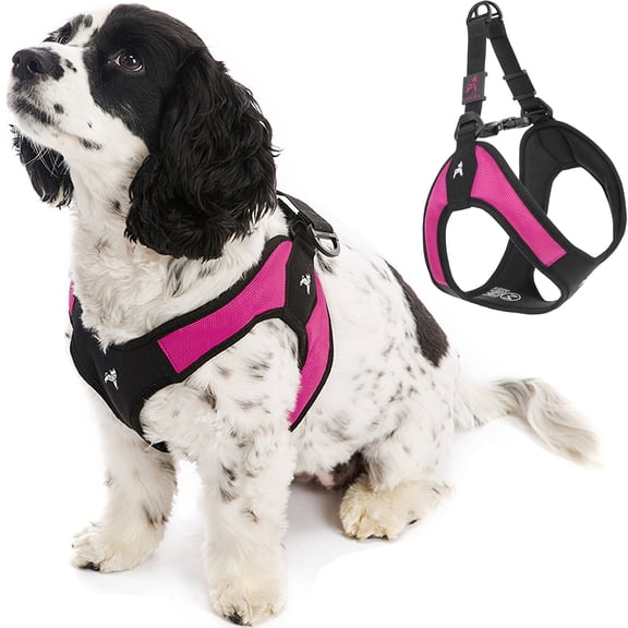 Gooby Escape Free Easy Fit Harness - Hot Pink, X-Small - Escape Free Step-In Harness with Neoprene Body for Small Dogs and Medium Dogs Indoor and Outdoor use