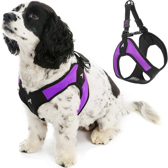 Gooby Escape Free Easy Fit Harness - Purple, Large - Escape Free Step-In Harness with Neoprene Body for Small Dogs and Medium Dogs Indoor and Outdoor use