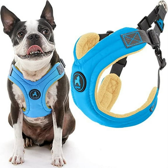 Gooby Escape Free Memory Foam Harness - Blue, Small - Escape Free Step-In Harness with Memory Foam for Small Dogs and Medium Dogs Indoor and Outdoor use