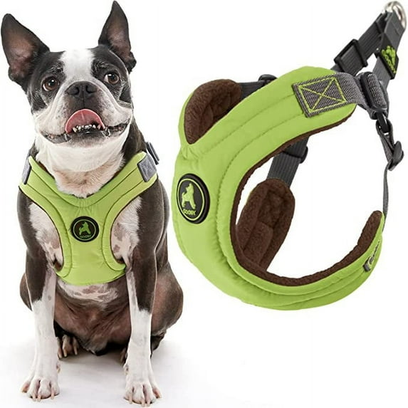Gooby Escape Free Memory Foam Harness - Green, Large - Escape Free Step-In Harness with Memory Foam for Small Dogs and Medium Dogs Indoor and Outdoor use