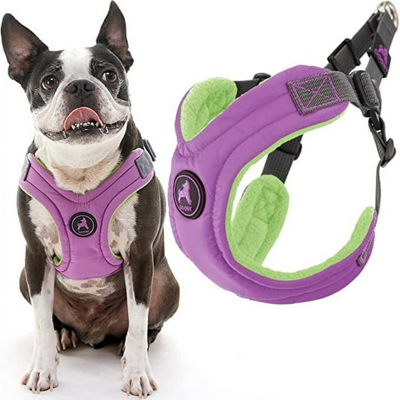 Gooby Escape Free Memory Foam Harness - Purple, Small - Escape Free Step-In Harness with Memory Foam for Small Dogs and Medium Dogs Indoor and Outdoor use
