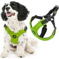 thumbnail image 1 of Gooby Escape Free Sport Harness - Lime, Large - Escape Free Step-in Harness with Neoprene Body for Small Dogs and Medium Dogs for Indoor and Outdoor use, 1 of 6