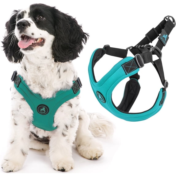 Gooby Escape Free Sport Harness - Turquoise, Small - Escape Free Step-in Harness with Neoprene Body for Small Dogs and Medium Dogs for Indoor and Outdoor use