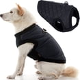 thumbnail image 1 of Gooby Fashion Vest - Black, Medium - Quilted Bomber Jacket with Leash Attachment and Pain-Free Zipper Guard for Dogs - Water Resistant with Stretchable Knitted Bottom for Indoor and Outdoor Use, 1 of 5