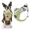 thumbnail image 1 of Gooby Memory Foam Step-In Harness - Green, X-Small - Scratch Resistant Harness with Comfortable Memory Foam for Small Dogs and Medium Dogs Indoor and Outdoor use, 1 of 5