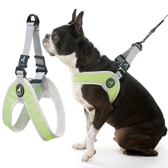 Gooby Simple Step In III Harness - Green, Small - No Pull Small Dog Harness with Scratch Resistant Outer and Soft Inner Mesh Vest