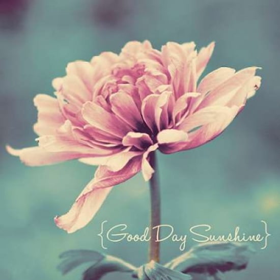 Good Day Sunshine Border Canvas Art - Gail Peck (24 x 24)