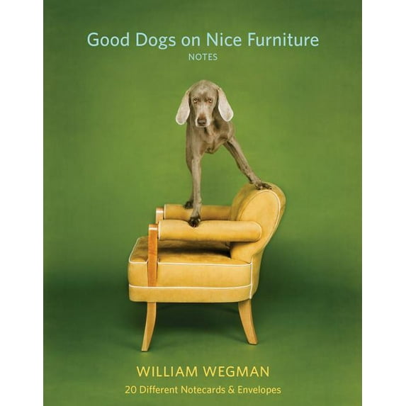 Good Dogs on Nice Furniture Notes: 20 Different Notecards & Envelopes, (Paperback)