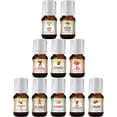 thumbnail image 1 of Good Essential - Professional Holiday Fragrance Oil Set Pack of 10 5ml Peppermint, Apple Cinnamon, Hot Chocolate, Cherry, Pumpkin Pie, Candy Cane, Gingerbread, Snickerdoodle, Cinnamon, Brown Sugar, 1 of 6