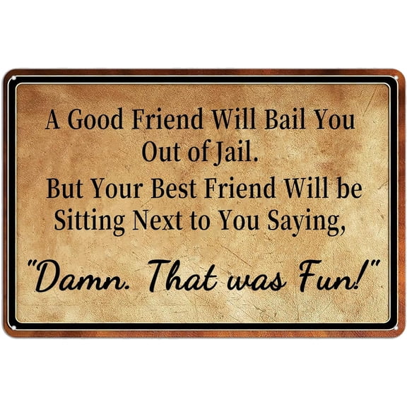 A Good Friend Will Bail You Out of Jail Funny Sarcastic Sign Humorous Quote Wall Decor Tin Signs for Home Garden Bars Cafes Office Club Man Cave Decor 12 X 8 Inch