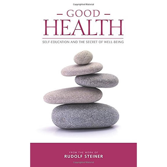 Good Health: Self-Education and the Secret of Well-Being (Paperback)