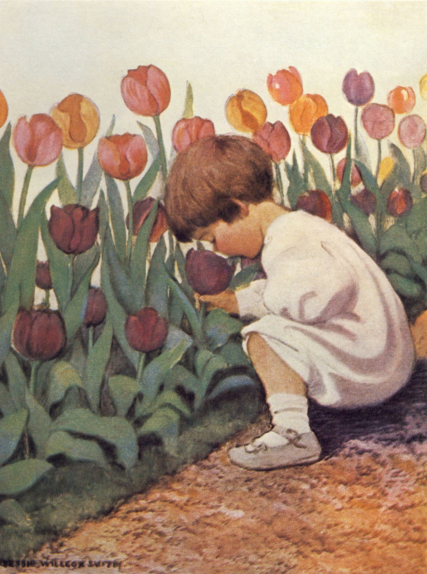 Good Housekeeping Apr 1919 Smelling tulips Canvas Art - Jessie Willcox Smith (24 x 36)