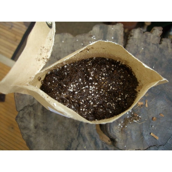 Good Luck Clover Seeds - Garden in a Bag Growing Kit