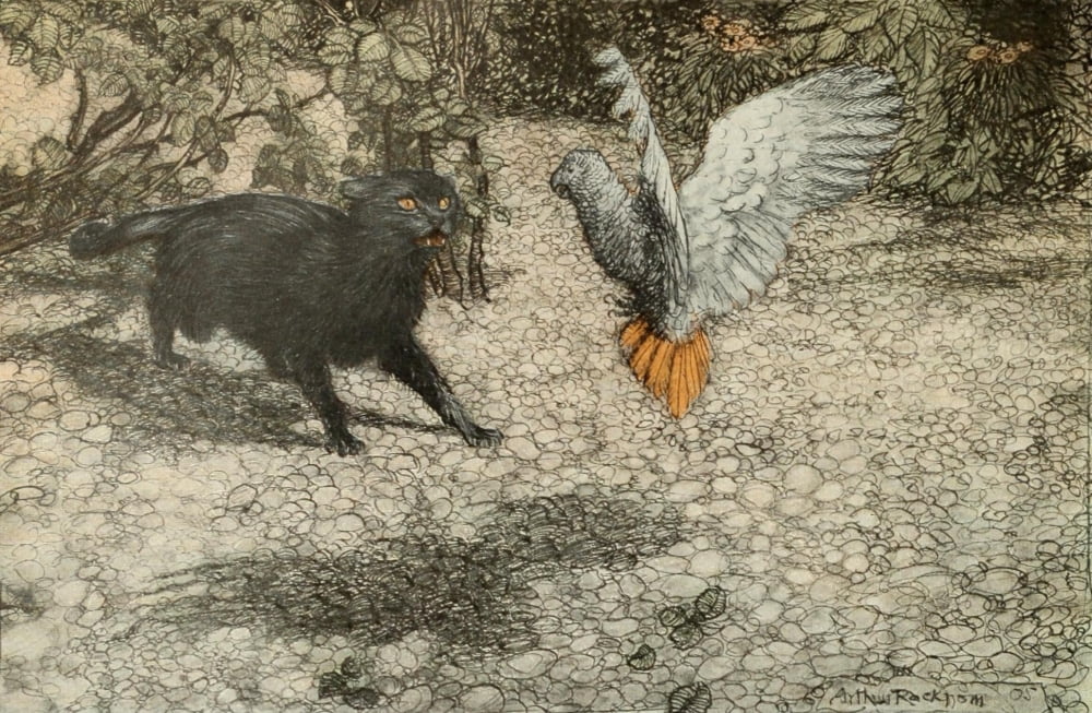 Good Night 1907 Fanning her wings Canvas Art - A Rackham (24 x 36)