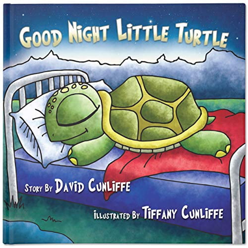 Pre-Owned Good Night Little Turtle (Hardcover) 0997567317 9780997567311