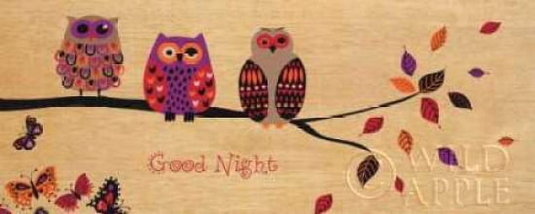 Good Night Owl Canvas Art - Wild Apple Portfolio (10 x 20)
